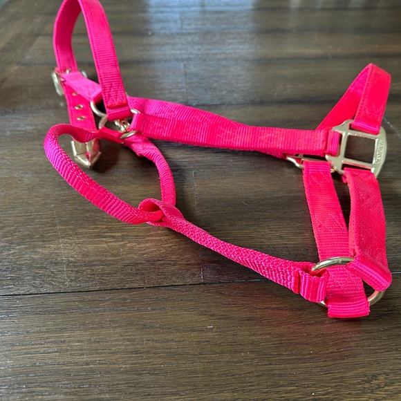 Horse Tack - Hot Pink Large Hamilton Halter - Picture 6 of 7